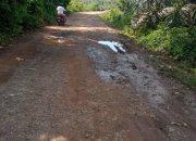 PEMBANGUNAN INFRASTRUKTUR DI DESA TANJUNG AGUNG KECAMATAN BANYUASIN III KABUPATEN BANYUASIN PERLU PERHATIAN DAN BANTUAN PEMERINTAH