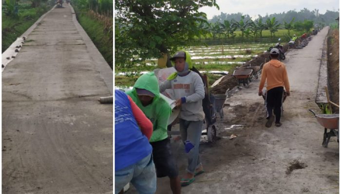 Pemdes Juwet Kunjang Melaksanakan Program Ketahanan Pangan, Pembangunan TPJ jalan Dusun Sambong Melalui Dana Desa Tahun 2025