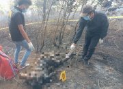 Kebakaran Lahan Ambil Korban Jiwa, Kapolres Humbahas Perintahkan Satreskrim Dan Jajaran Segera Tangani Kasus
