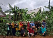 Panen Perdana Kacang Panjang di Kampung Caraka, Wujud Nyata Ketahanan Pangan Warga