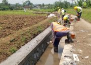 Pengerjaan Perogeram P3TGI di Desa Pondok Kaso Landeuh Warga Hanya Menerima Separo Anggaran