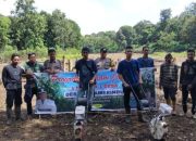 Bersama Petani Polsek Semindang Aji Tanam Jagung di OKU, Target Swasembada Pangan